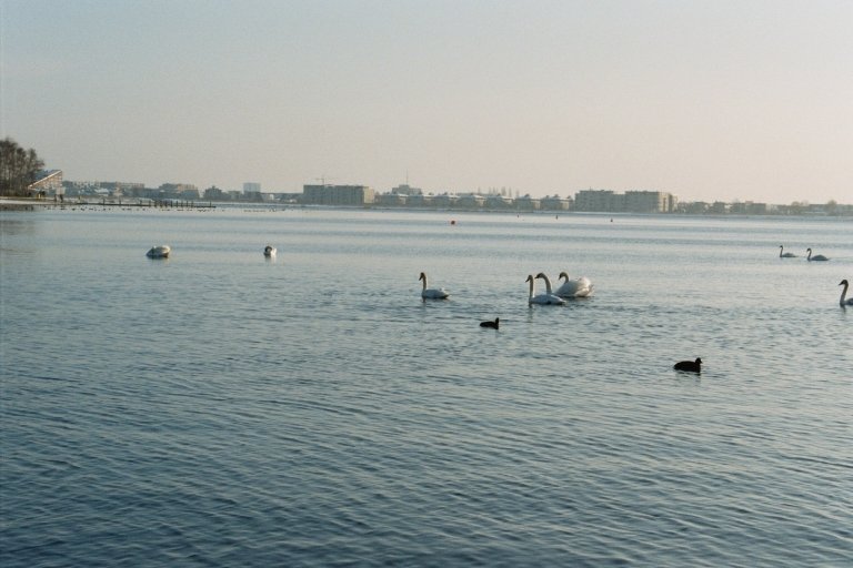 20040101 36 sneeuw